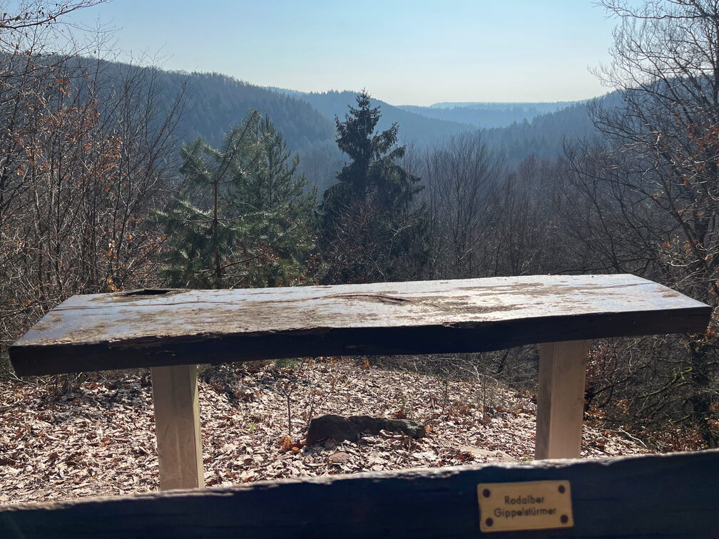 23-03-03 10-41-38 4610